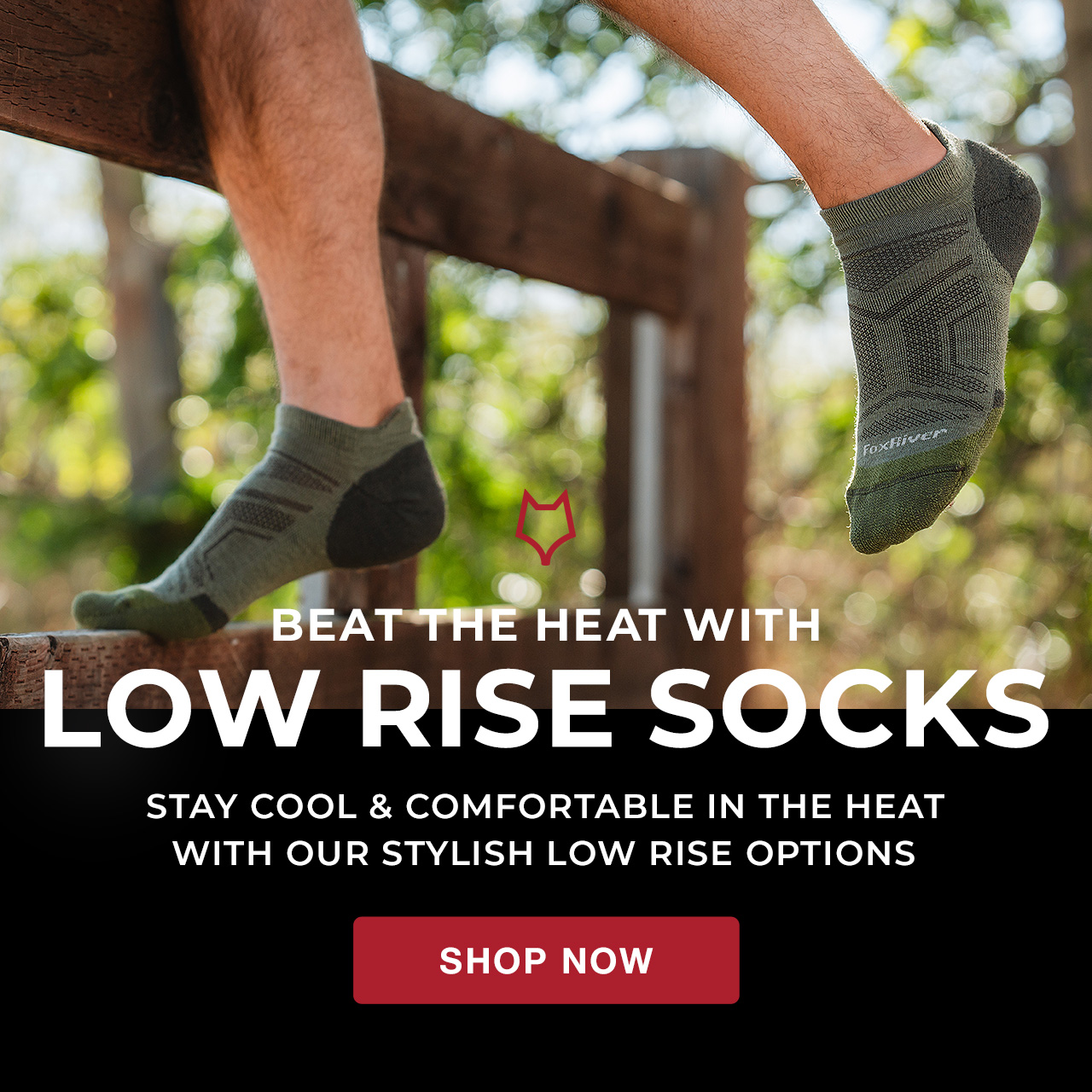 Low Rise Socks
