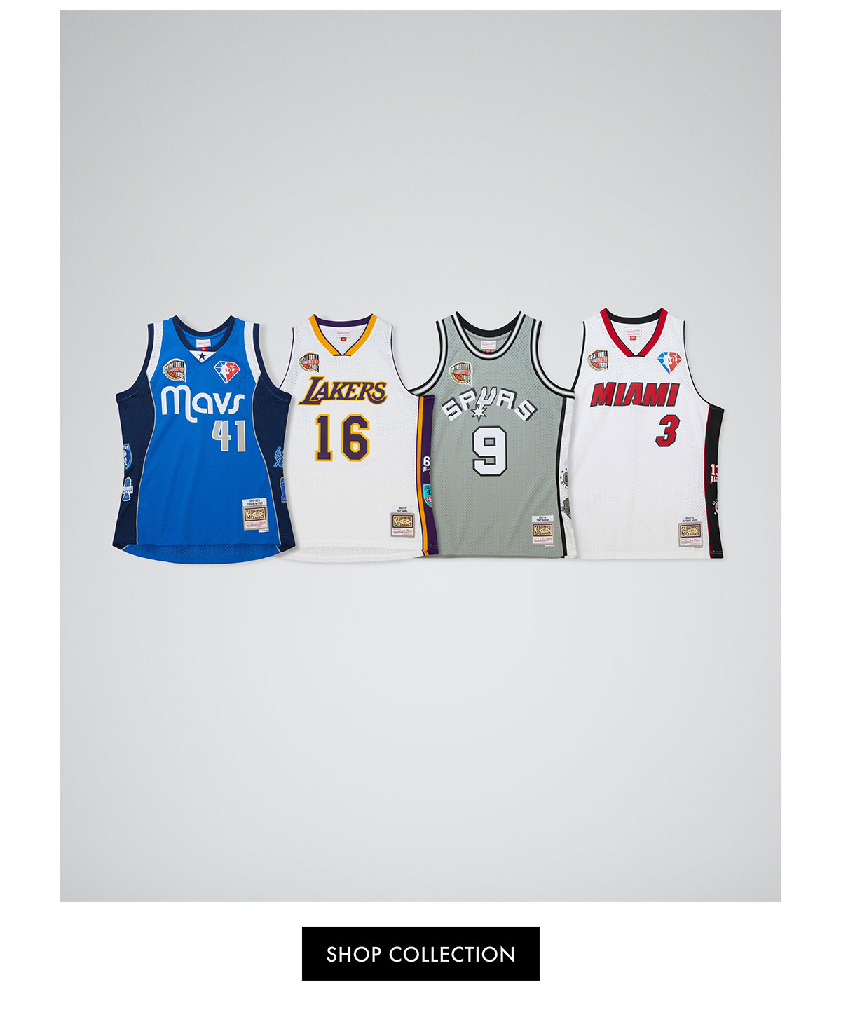 NBA Hall of Fame Collection Mitchell & Ness Nostalgia Co.