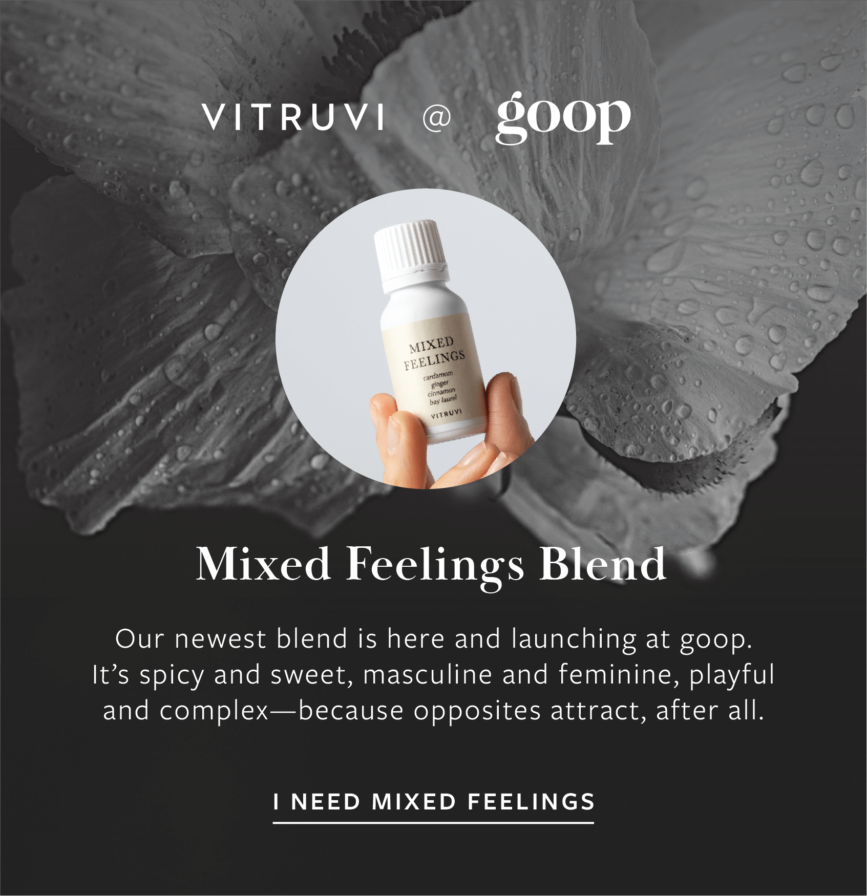 The Eucalyptus vibes are immaculate Vitruvi