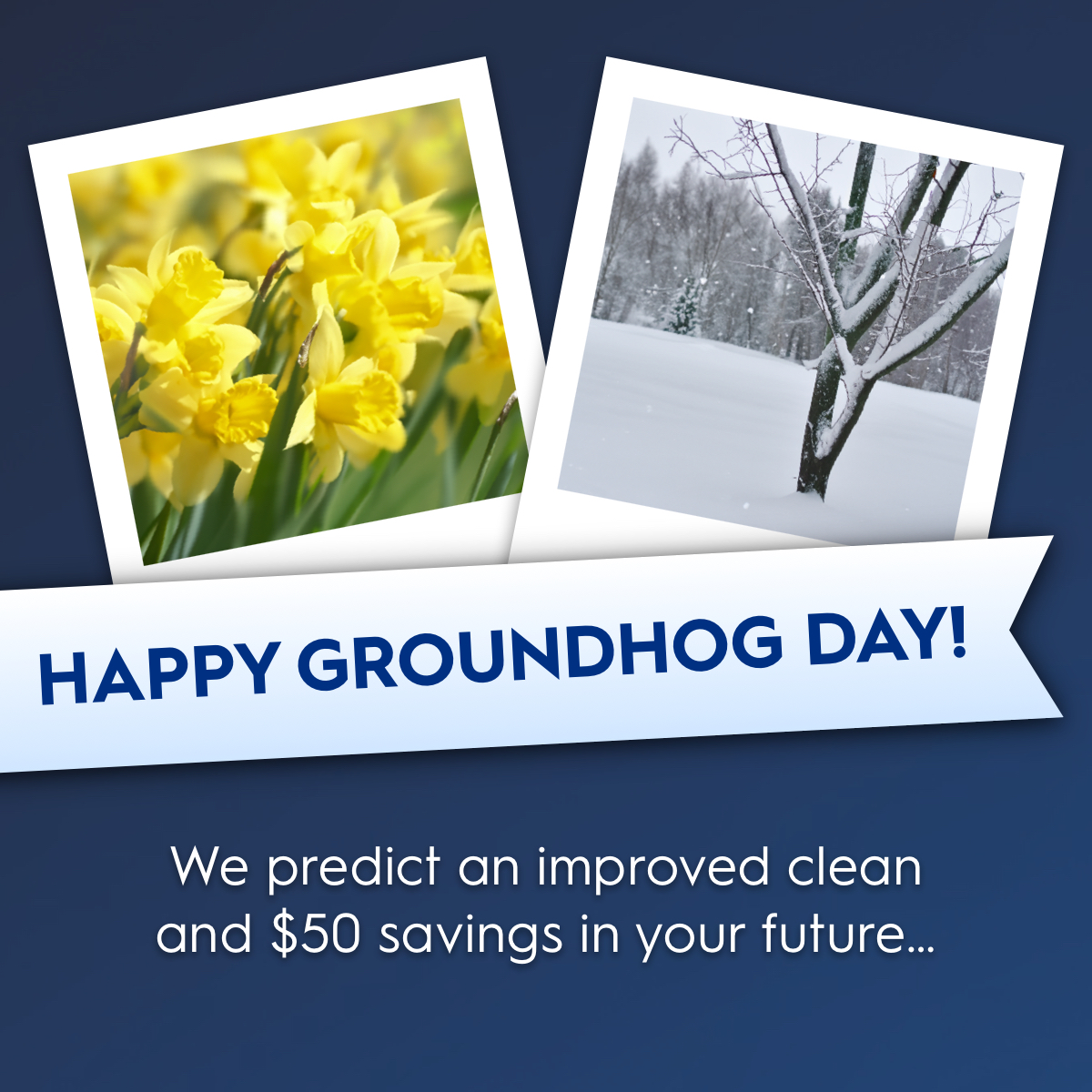 Text reads: ''Happy Groundhog Day! We predict $50 savings''