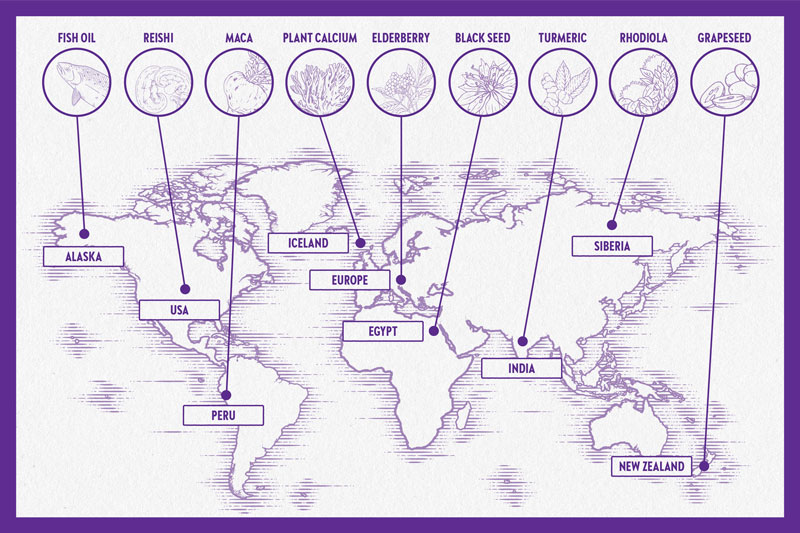 SOURCING MAP